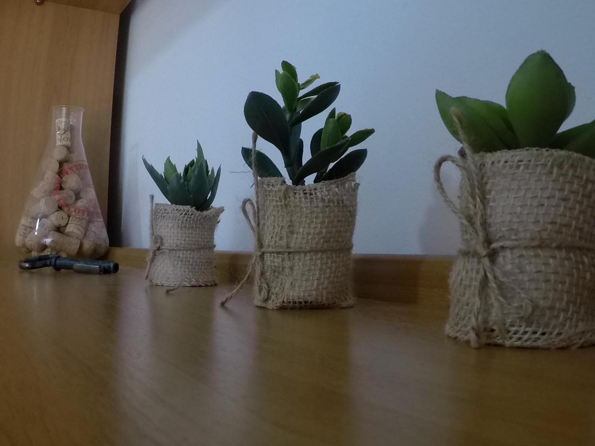 Sardinia-Holiday Casa Pesce Palla 马达莱纳 外观 照片